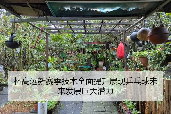 林高远新赛季技术全面提升展现乒乓球未来发展巨大潜力 | BIYI SPORTS